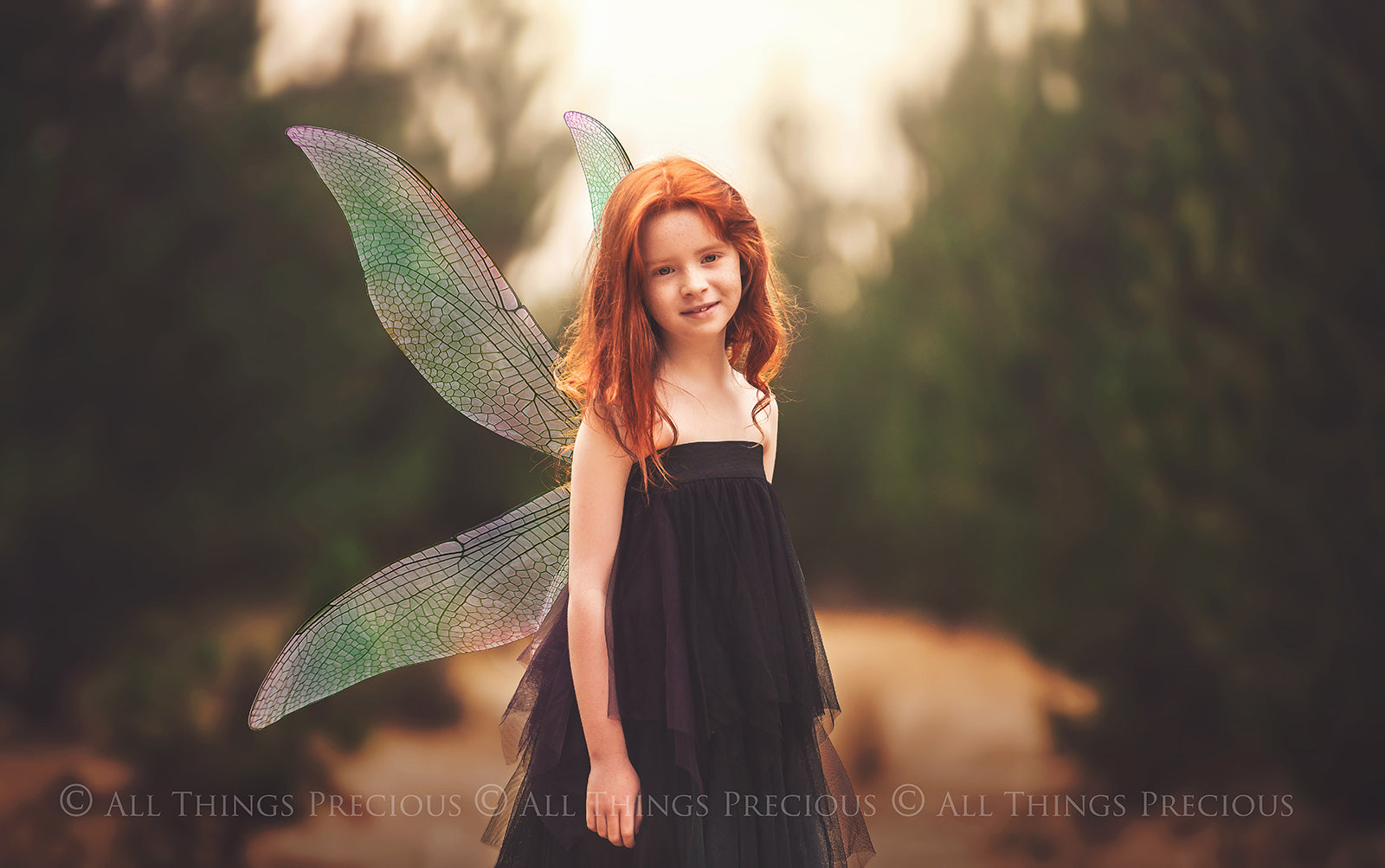 Digital Overlays for Photographers, Graphic design, scrapbooking and creatives.. Fairy Wings. High resolution, fine art digital assets for creating fantasy art.  Png overlay with transparent background. Magical Edit. Png Photo editing art assets.